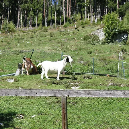Cozy In Gmund Near Ski Area Lejlighed
